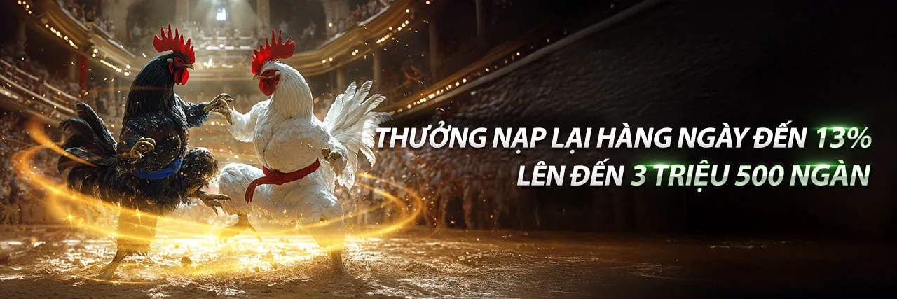 Đá Gà Trực Tuyến nn88 win 2026